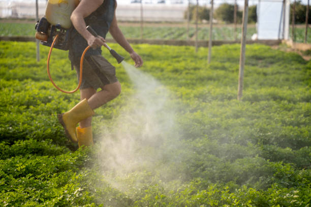 Best Exterminator Services  in Westminster, SC